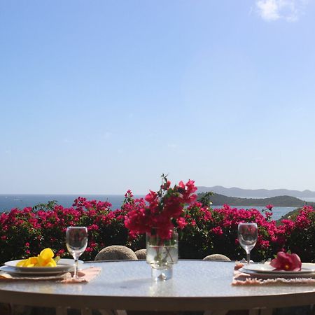 Allamanda Estate Villa Virgin Gorda Exterior photo